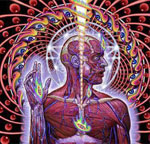 Tool - Lateralus Tool - Lateralus
