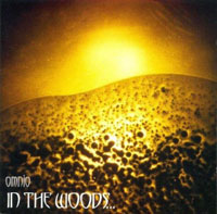 In The Woods - Omnio In The Woods - Omnio