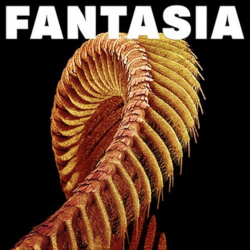 Slift - Fantasia