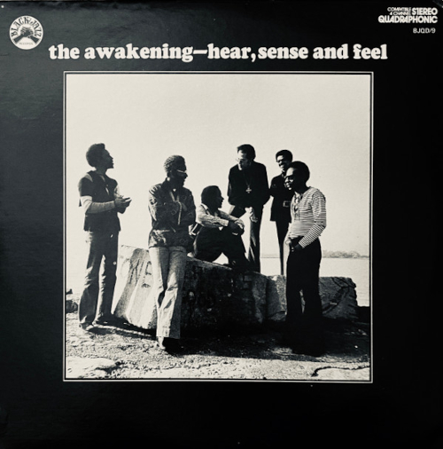 The Awakening - Hear, Sense and Feel