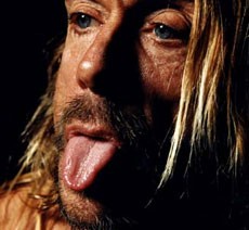 Iggy & The Stooges: Η ιστορία 