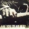 Children Of Bodom - Are You Dead Yet?