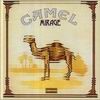 Camel Mirage