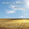 Martin Briley It Comes In Waves