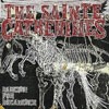 The Sainte Catherines Dancing For Decadence