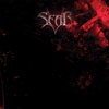 Sear Begin The Celebrations Of Sin