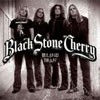 Black Stone Cherry - Blind Man (single)