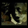 Mothlite - The Flux Of Reverie