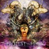 Protest The Hero Fortress