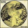 Siena Root - Different Realities