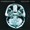 Breaking Benjamin Dear Agony