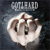 Gotthard Need To Believe