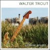 Walter Trout - Common Ground