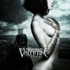 Bullet For My Valentine Fever