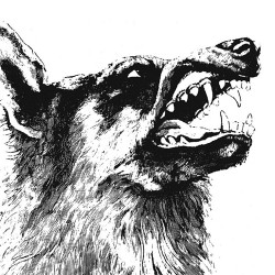 Crippled Black Phoenix I, Vigilante