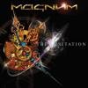 Magnum - The Visitation