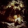 Wolves In The Throne Room - Celestial Lineage