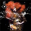 Bjork Biophilia
