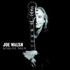 Joe Walsh - Analog Man