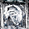Woods Of Ypres - Woods 5: Grey Skies & Electric Light