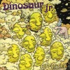 Dinosaur Jr. I Bet On Sky