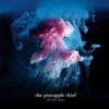 The Pineapple Thief All The Wars