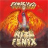 Tenacious D Rize Of The Fenix