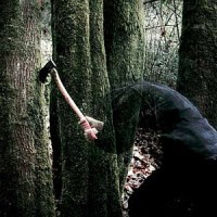 Baptists - Bushcraft