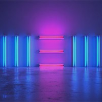 Paul McCartney - New