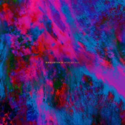 Birds Of Tokyo March Fires