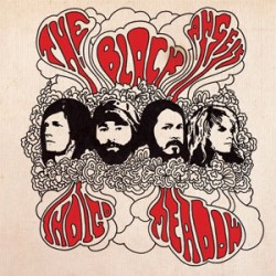 The Black Angels Indigo Meadow