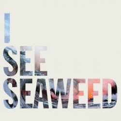 The Drones I See Seaweed