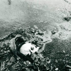 Nuclear Spring Nuclear Spring