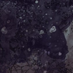 Pinkish Black Razed To The Ground