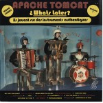 Apache Tomcat - ¿What's Later (Homes)?