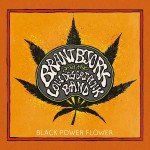 Brant Bjork And The Low Desert Punk Band - Black Power Flower