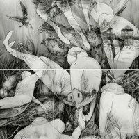 Mono - The Last Dawn / Rays Of Darkness