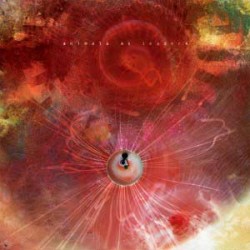 Animals As Leaders The Joy Of Motion