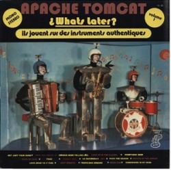 Apache Tomcat ¿What's Later (Homes)?