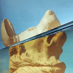 Baby Guru Marginalia