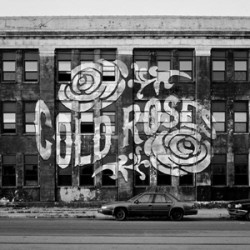 Cold Roses No Silence In The City