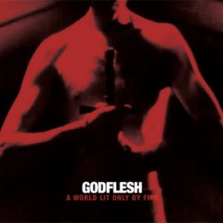 Godflesh A World Lit Only By Fire