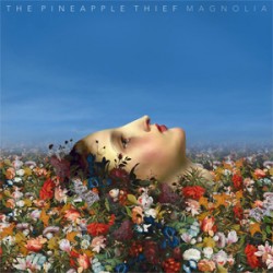 The Pineapple Thief Magnolia