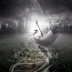 Sleepstream They Flew In Censored Skies