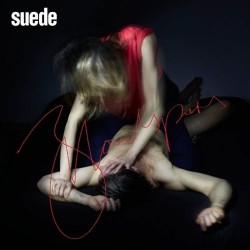 Suede Bloodsports