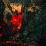 Cranium Pie - Mechanisms Pt. 2