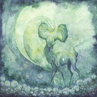 David Maxim Micic - Eco