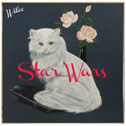 Wilco Star Wars