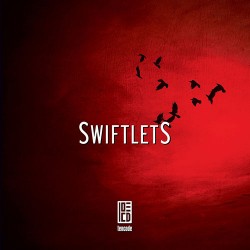 10 Code Swiftlets