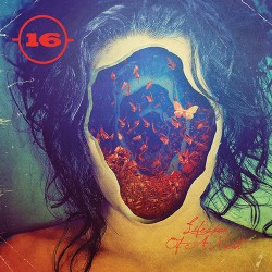 -(16)- The Lifespan Of A Moth